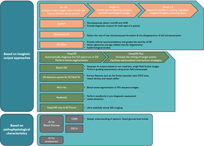 The application of artificial intelligence in diabetic retinopathy: progress and prospects